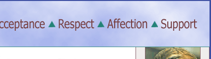 Acceptance Respect Affection Support